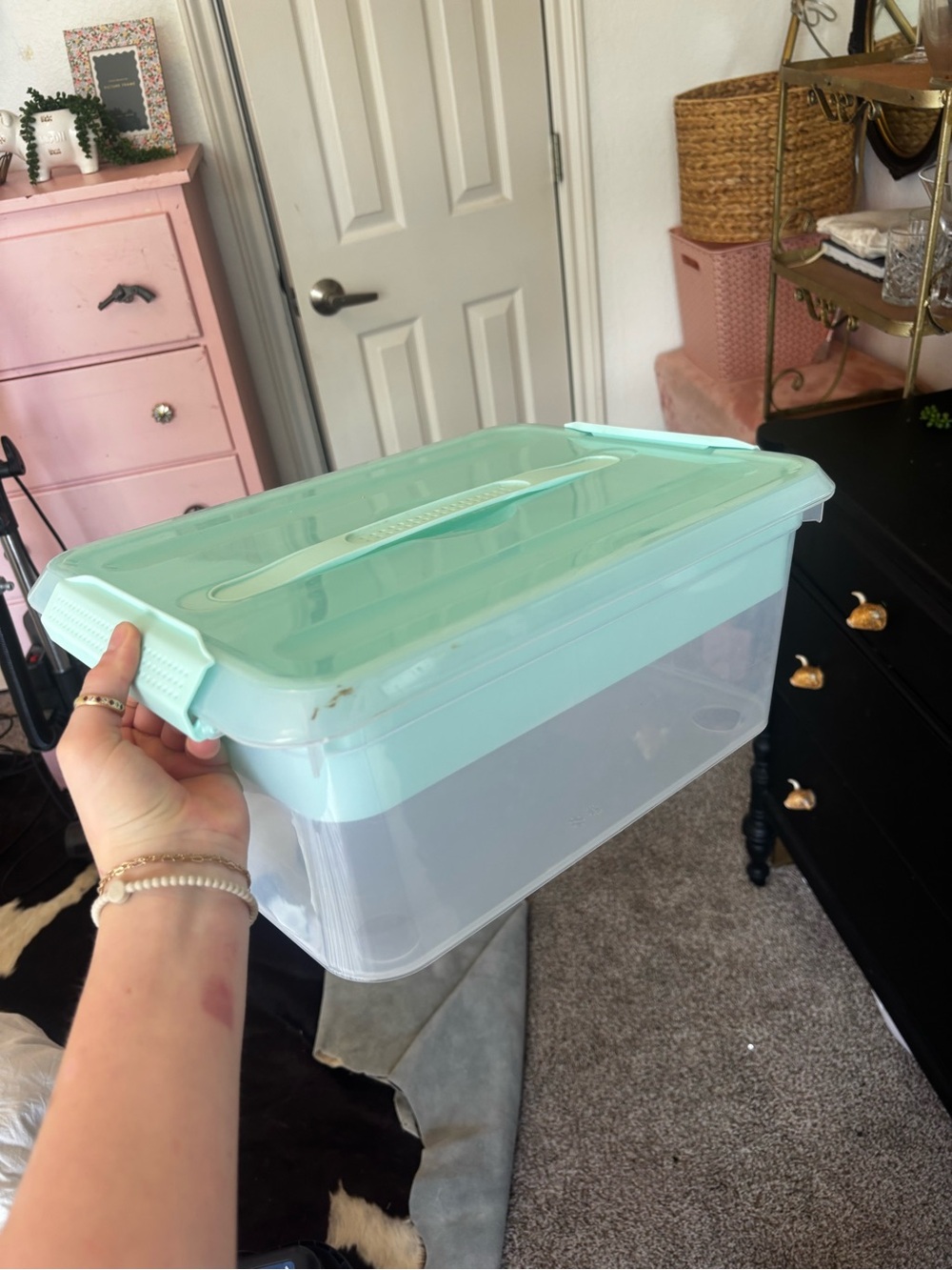 Airtight Mint Green Plastic Storage Box with Handle